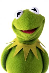 Kermit The Frog