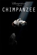 Chimpanzee Poster