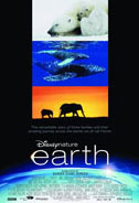 Earth Poster