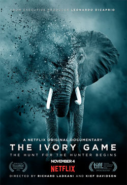 The Ivory Game Poster