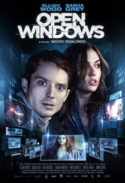 Open Windows Poster