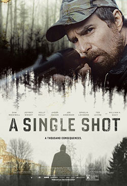 A Single Shot Poster