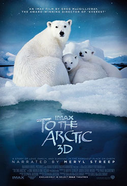 To the Arctic Poster