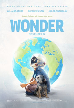 Wonder Poster