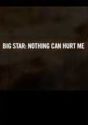 Big Star: Nothing Can Hurt Me