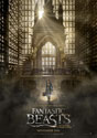 Fantastic Beasts and Where to Find Them