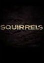 Squirrels